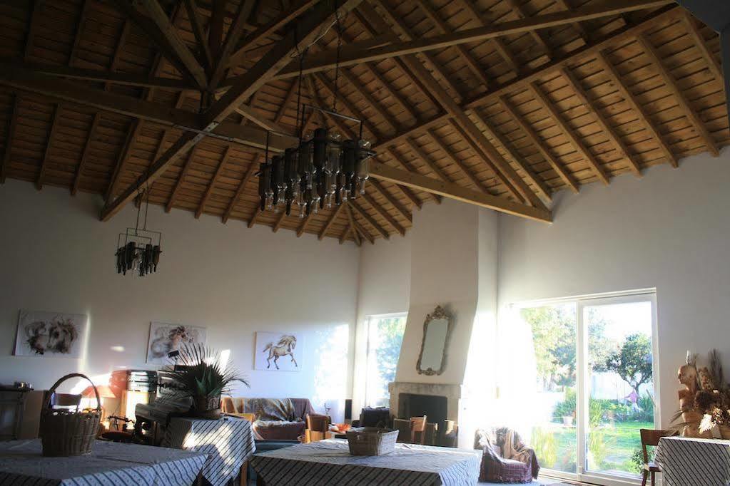 Casa Sao Caetano Pensionat Golegã Exteriör bild